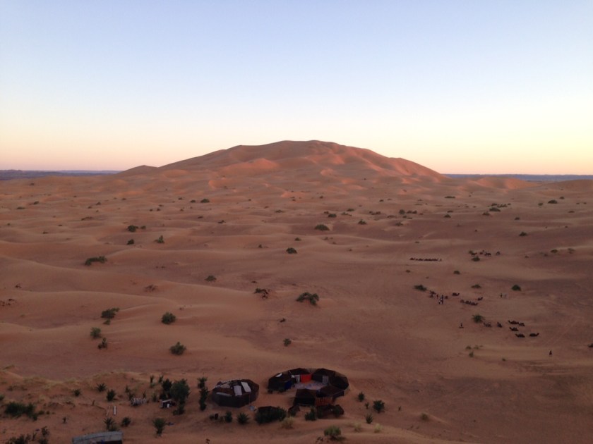 Camping in Sahara