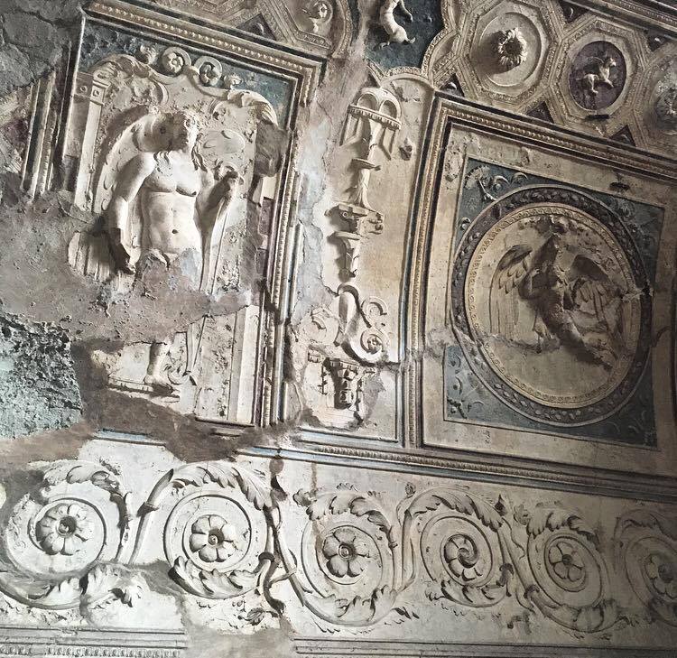 12483712_10154507232518492_1083973493_n