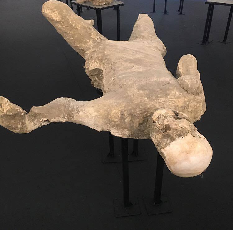 12540269_10154507232273492_1761605579_n