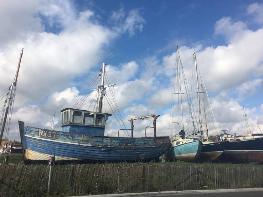 14795836_10155207882888492_162825662_o