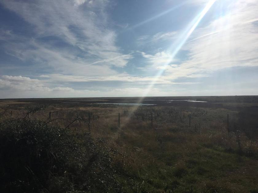 14803202_10155207882773492_1745512553_o