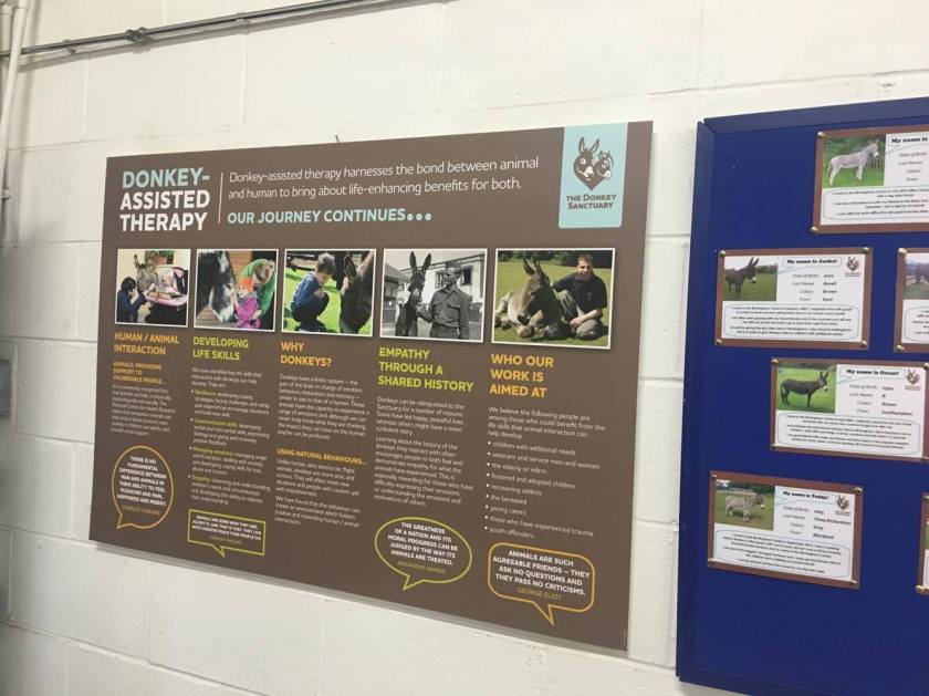 17121917_10155622058253492_842754047_o