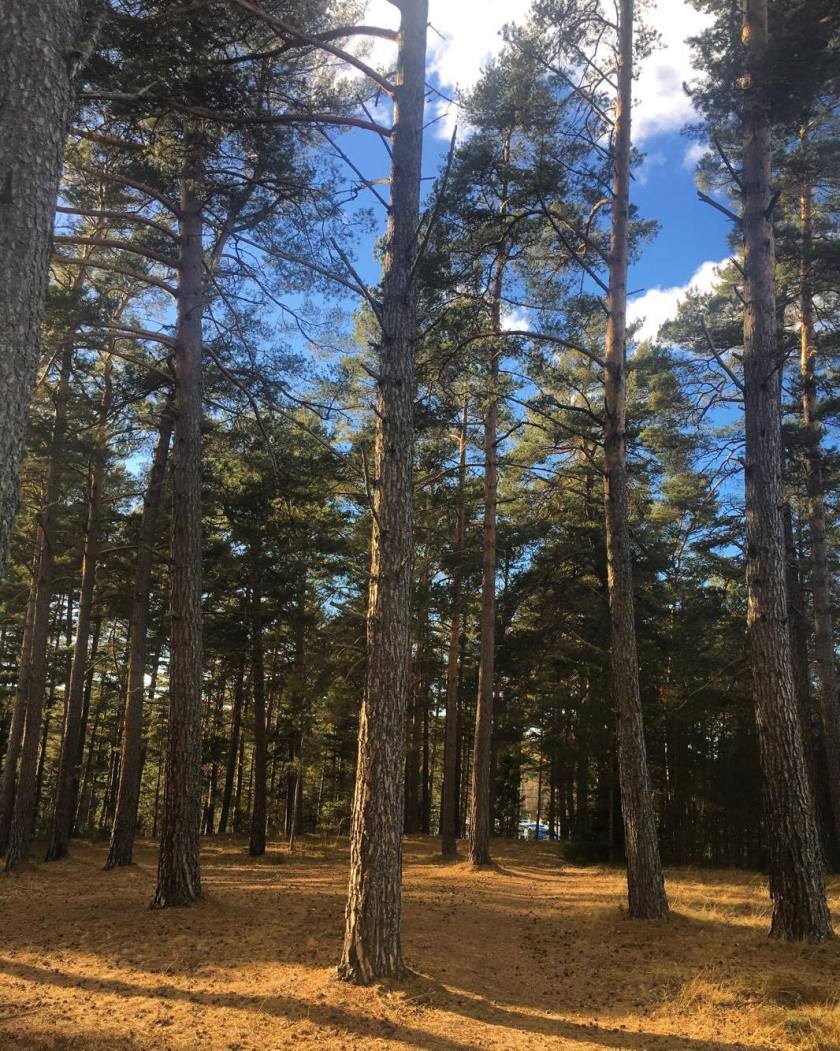 17380155_10155672906763492_1404995755_o