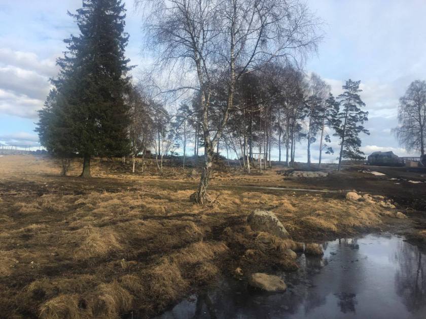 17408333_10155672906868492_1170702212_o