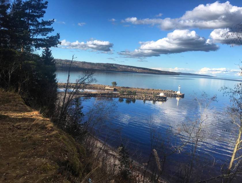 17431377_10155672906738492_1988930231_o