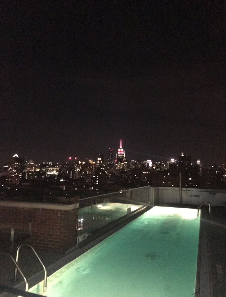 rooftop bars nyc