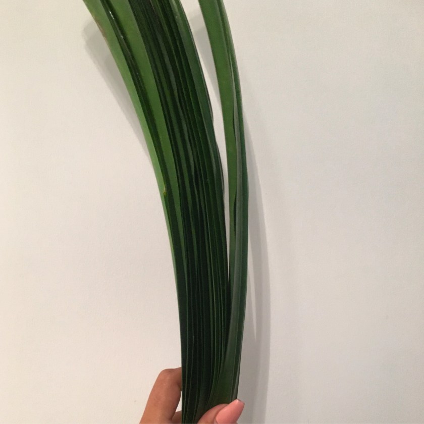 pandan leaves